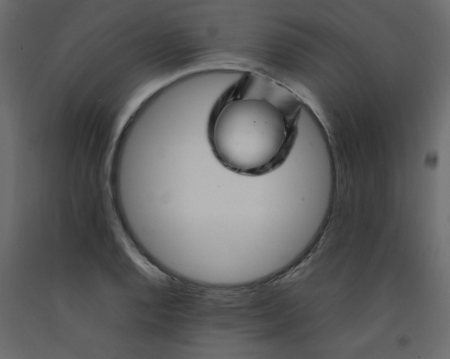 X0000092211128200710051131