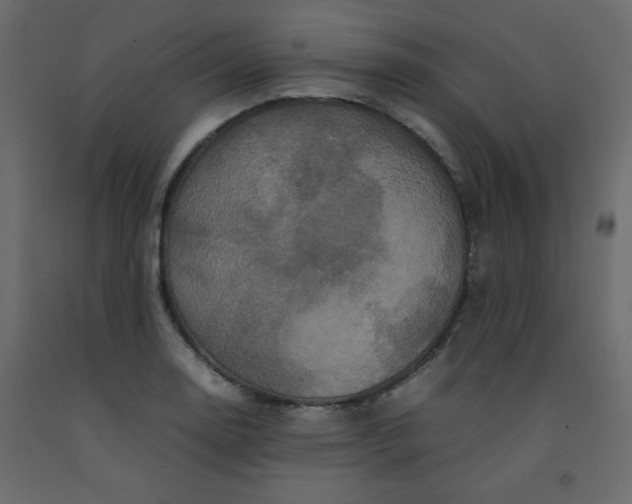 X0000092211130200710051131