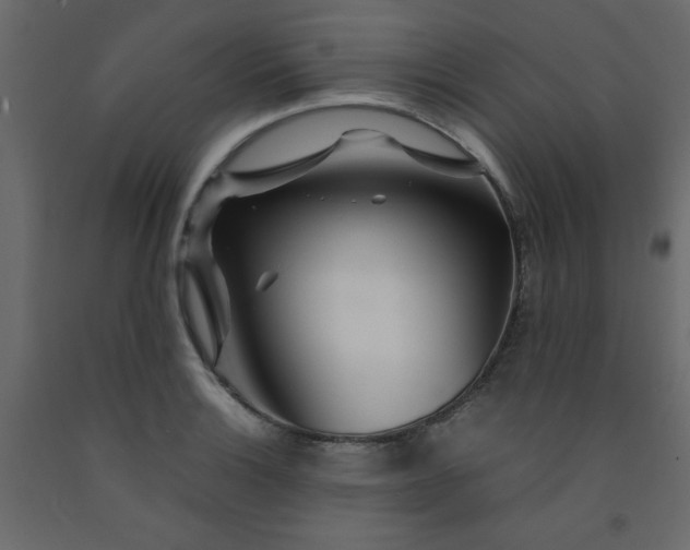 X0000092211132200710051131