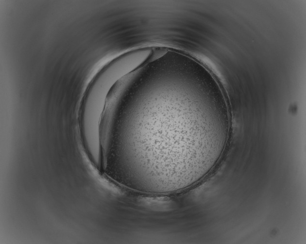 X0000092211133200710051131