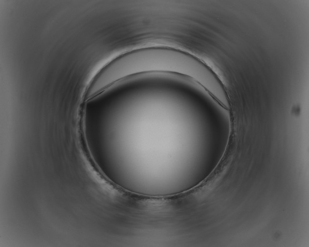 X0000092211134200710051131