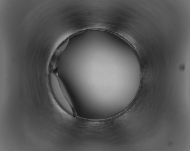 X0000092211135200710051131