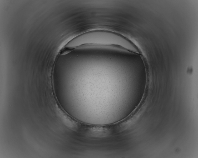 X0000092211137200710051131