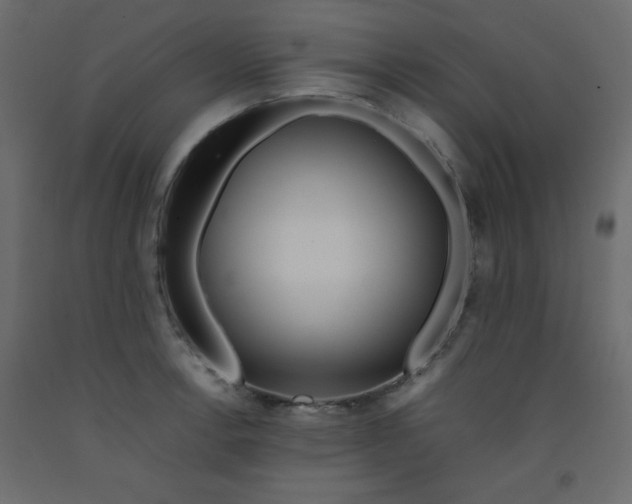 X0000092211138200710051131