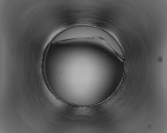 X0000092211139200710051131