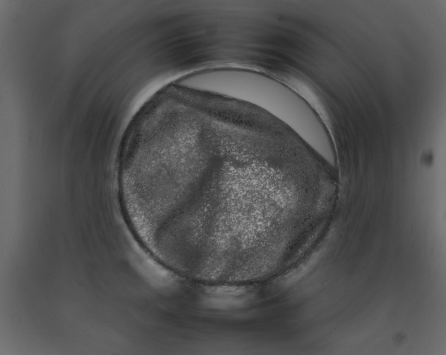 X0000092211141200710051131