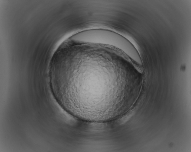 X0000092211142200710051131