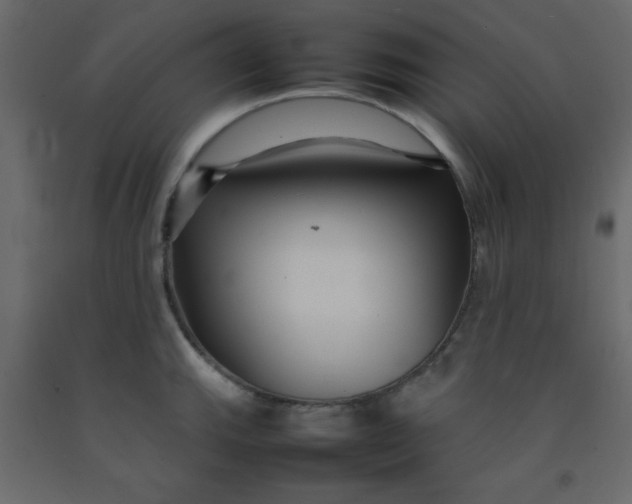 X0000092211143200710051131