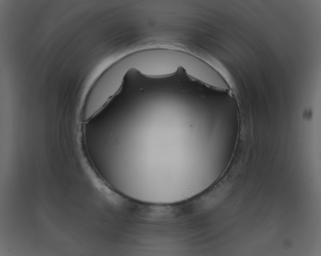 X0000092211144200710051131