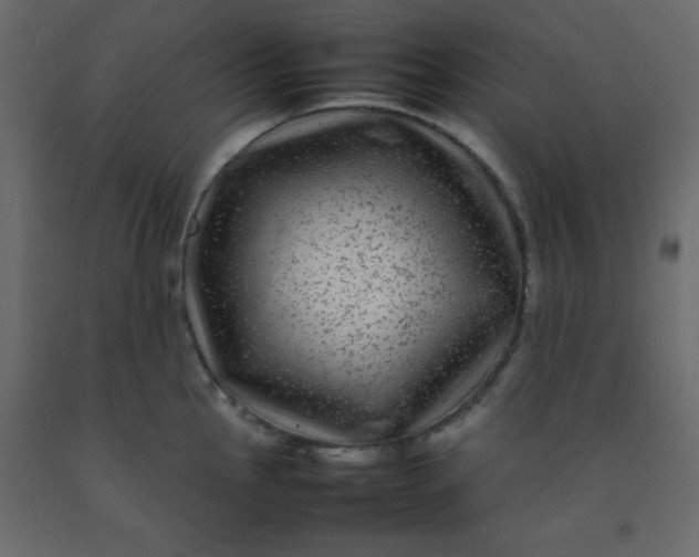 X0000092211145200710051131