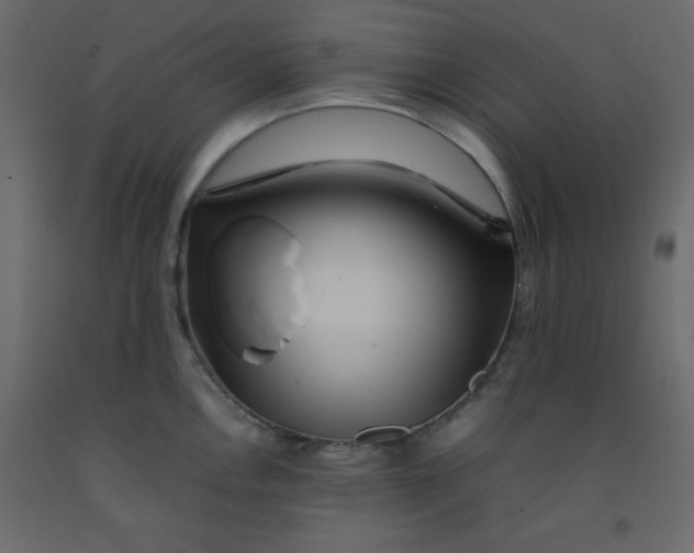 X0000092211146200710051131