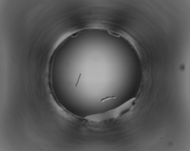 X0000092211147200710051131