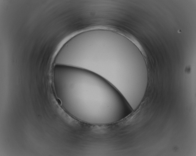 X0000092211148200710051131