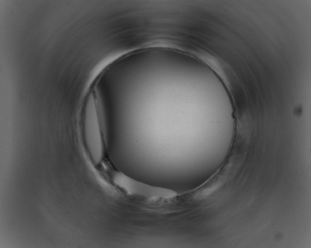 X0000092211149200710051131