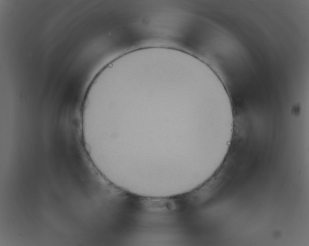 X0000092211150200710051131