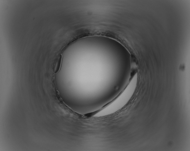 X0000092211153200710051131