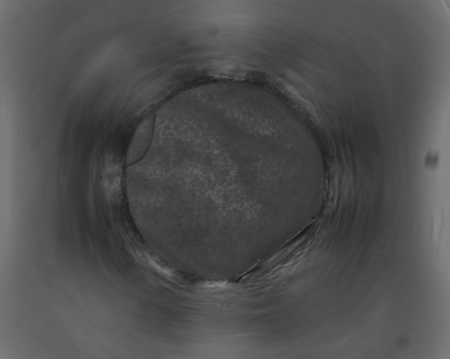 X0000092211154200710051131