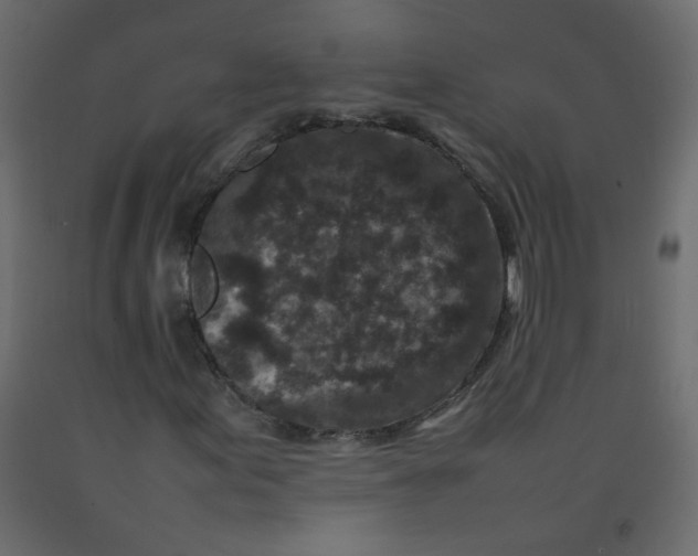 X0000092211155200710051131