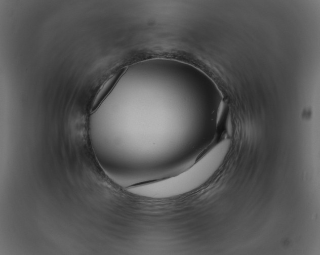 X0000092211156200710051131