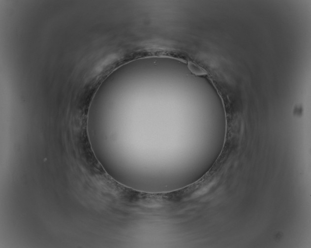 X0000092211157200710051131