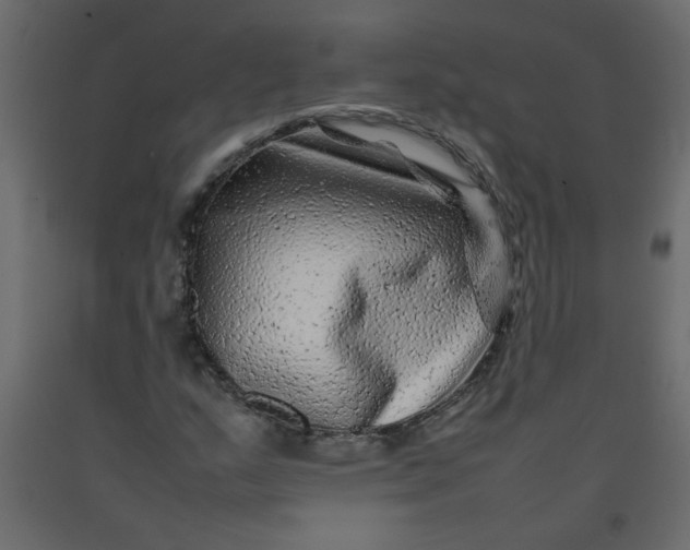 X0000092211159200710051131