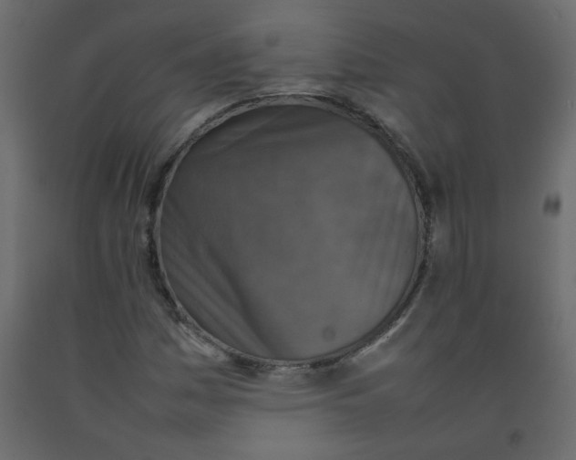 X0000092211161200710051131