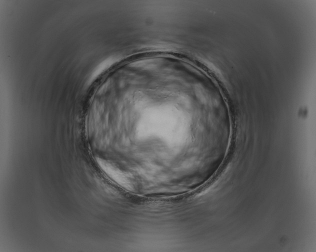 X0000092211163200710051131