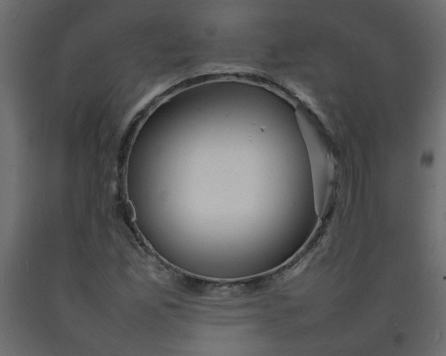 X0000092211165200710051130