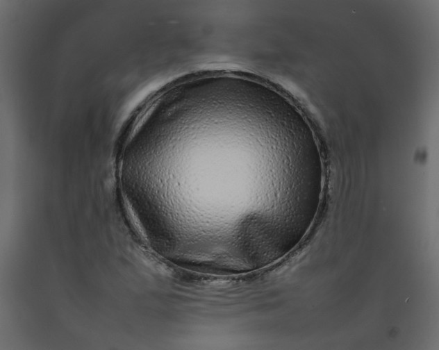 X0000092211167200710051130