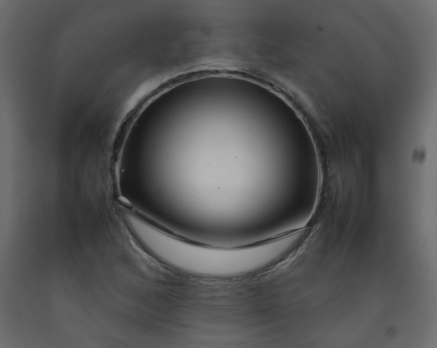 X0000092211168200710051130