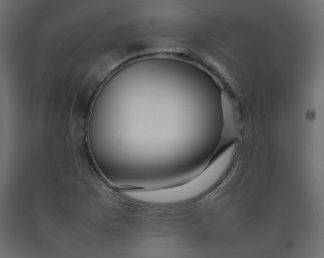 X0000092211169200710051130