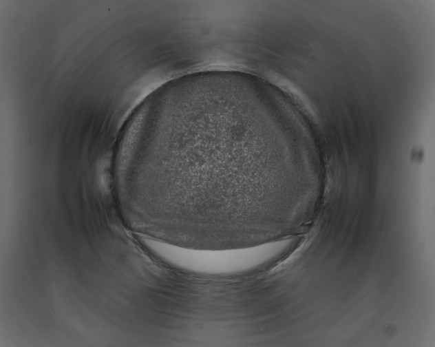 X0000092211170200710051130