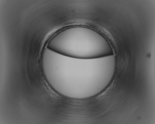 X0000092211172200710051130