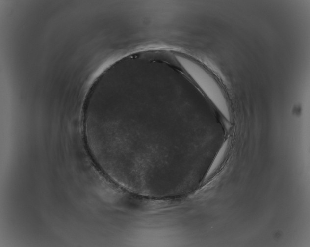 X0000092211173200710051130