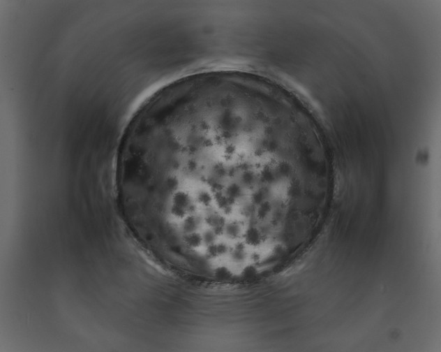 X0000092211174200710051130