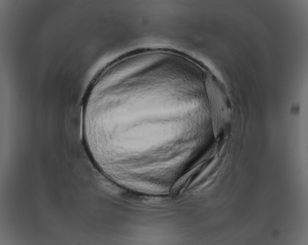 X0000092211175200710051130