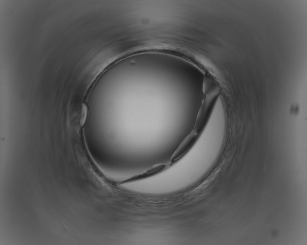 X0000092211177200710051130