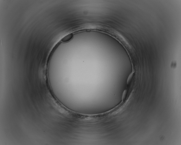 X0000092211178200710051130