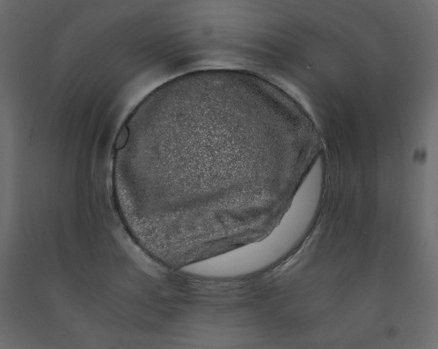 X0000092211179200710051130