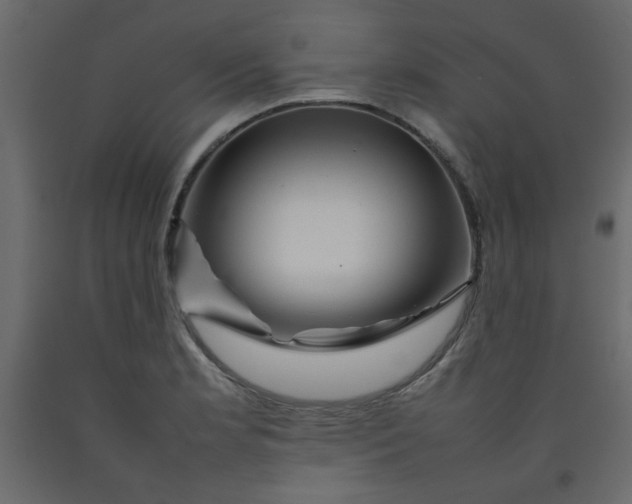 X0000092211181200710051130