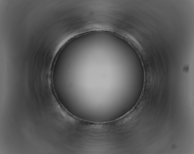 X0000092211182200710051130