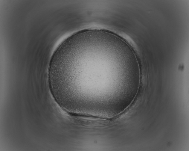 X0000092211183200710051130