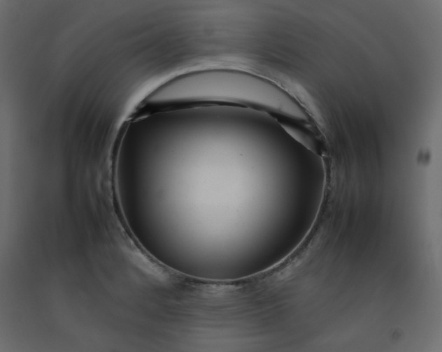 X0000092211184200710051130