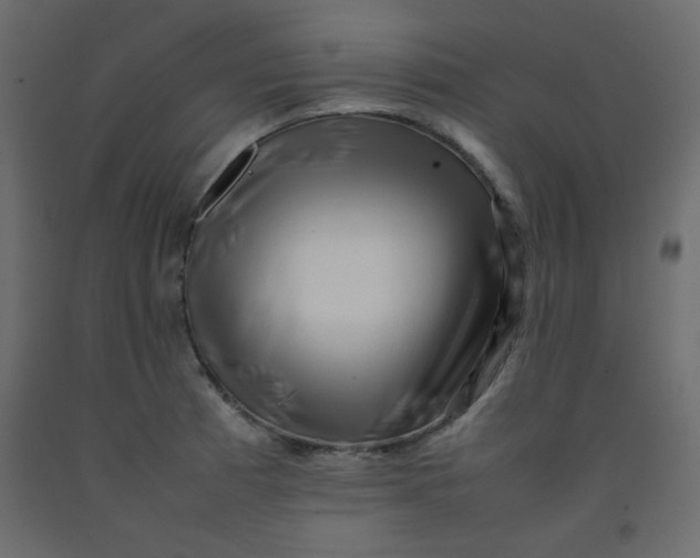 X0000092211185200710051130