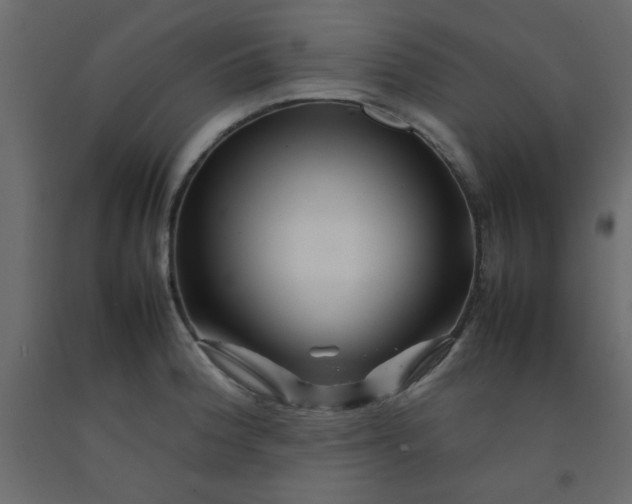 X0000092211188200710051130