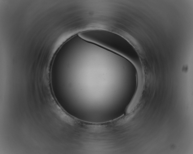 X0000092211192200710051130