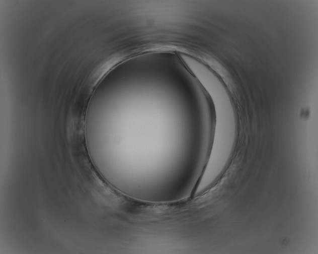 X0000092211193200710051130