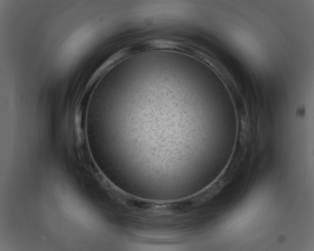 X0000092211198200710051130