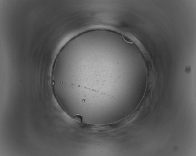 X0000092211199200710051130