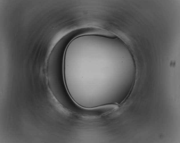 X0000092211200200710051130